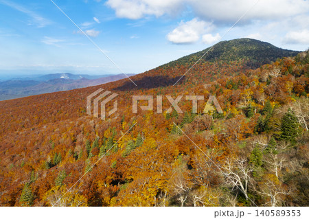 八甲田ロープウェーから見た八甲田山の紅葉 八甲田ロープウェーから見た八甲田山の紅葉 140589353