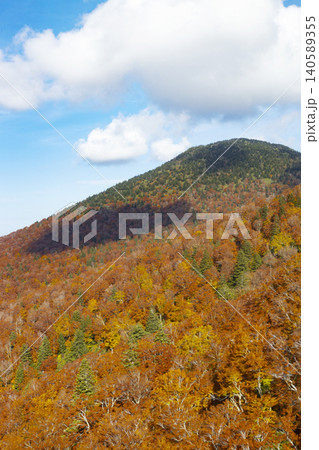 八甲田ロープウェーから見た八甲田山の紅葉 八甲田ロープウェーから見た八甲田山の紅葉 140589355