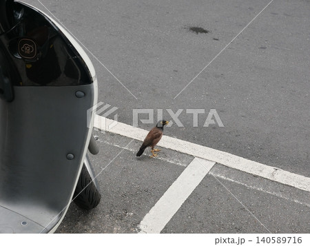 自動車 車 飛車 140589716