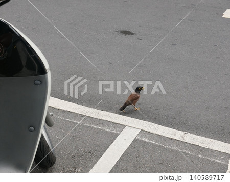 自動車 車 飛車 140589717