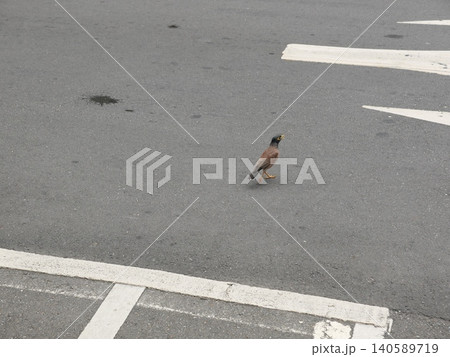 自動車 車 飛車 140589719