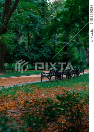 A tranquil park pathway lined with empty benches, covered in fallen leaves after a refreshing rain shower A tranquil park pathway lined with empty benches, covered in fallen leaves after a refreshing rain shower 140589888