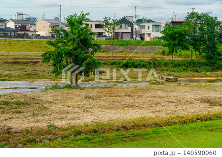 熊の出没を防ぐため藪を伐採し見晴らしを良くした河川敷 熊の出没を防ぐため藪を伐採し見晴らしを良くした河川敷 140590060