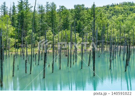 《北海道》日本の絶景 春の美瑛の青い池(令和8年6月) 《北海道》日本の絶景 春の美瑛の青い池(令和8年6月) 140591022