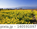 滋賀県守山市の菜の花畑 140591097