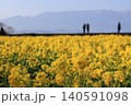滋賀県守山市の菜の花畑 140591098