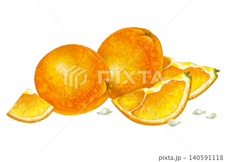 Watercolor orange fruits and slices composition. Hand-drawn whole citruses and pieces with seeds isolated on white backgroun. For fresh juice packaging, organic food labels, culinary recipe books, or Watercolor orange fruits and slices composition. Hand-drawn whole citruses and pieces with seeds isolated on white backgroun. For fresh juice packaging, organic food labels, culinary recipe books, or 140591118