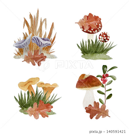 Autumn mushroom watercolor set with fly agaric, chanterelles, bolete, russula, oak leaves and berries. Hand painted forest clipart isolated on white for seasonal decor and stationery 140591421