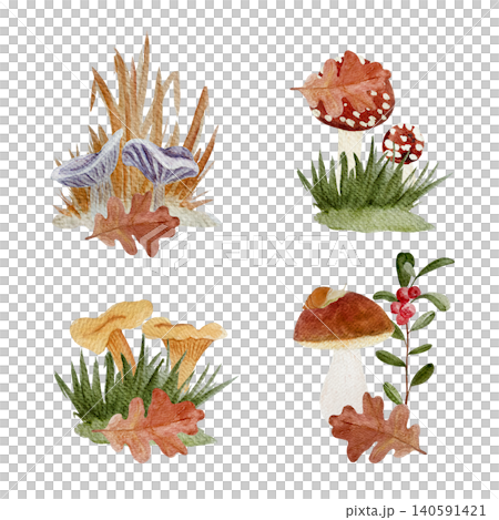 Autumn mushroom watercolor set with fly agaric, chanterelles, bolete, russula, oak leaves and berries. Hand painted forest clipart isolated on white for seasonal decor and stationery 140591421