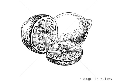 Lemon group with whole fruit half and slice hand drawn sketch. Black ink line art citrus still life isolated on white for culinary blog banner, farm market print, kitchen textile, and card Lemon group with whole fruit half and slice hand drawn sketch. Black ink line art citrus still life isolated on white for culinary blog banner, farm market print, kitchen textile, and card 140591465