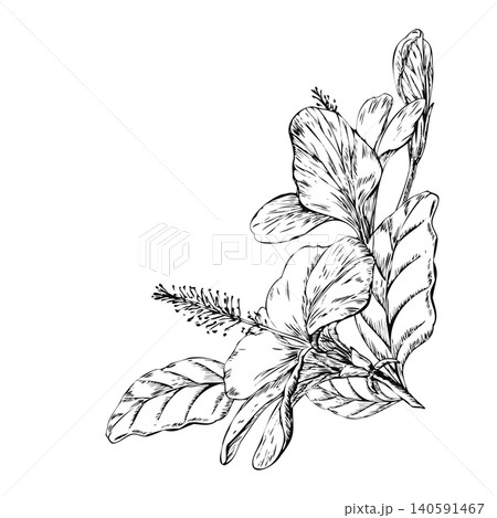 Hibiscus flower bouquet corner hand drawn line art sketch. Black ink tropical botanical composition isolated on white for wellness salon brochure, beauty product label, and invitation card 140591467
