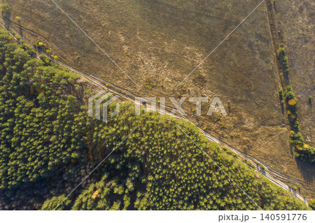 view from above of forest view from above of forest 140591776