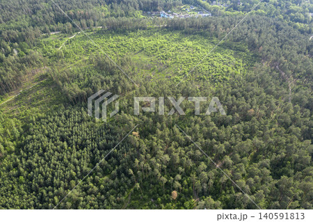 view from above of forest 140591813