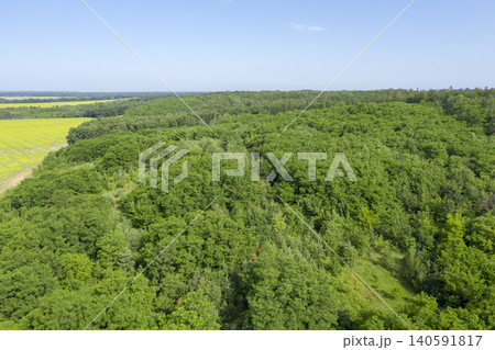view from above of forest view from above of forest 140591817