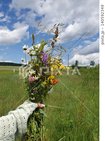 A delicate bouquet of wildflowers daisies, poppies, herbs in the hand of a girl in an openwork sweater. Picturesque summer 140592349