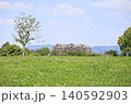 郡山城　裏の公園から見た天守の石垣 140592903
