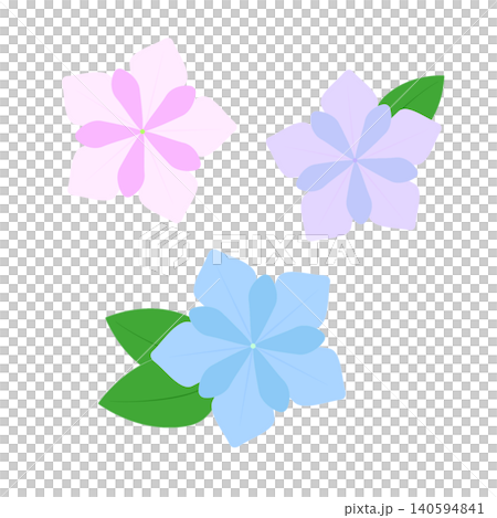 一組粉紅色、藍色和紫色繡球花的插圖——雨季和夏季的花卉。 140594841