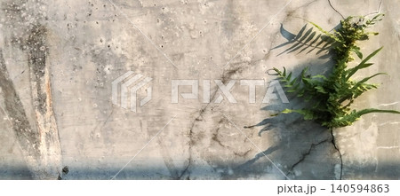 Close-up image of green plants growing from cracks in the old, weathered concrete surface. Close-up image of green plants growing from cracks in the old, weathered concrete surface. 140594863