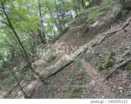 山梨尾白川渓谷 落ち葉と岩に囲まれた急な登山道 山梨尾白川渓谷 落ち葉と岩に囲まれた急な登山道 140595122