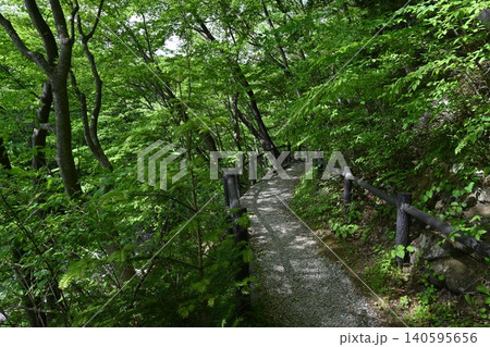 自然環境の素晴らしい木の俣園地を、爽やかな季節に散策する最高に贅沢なひと時 自然環境の素晴らしい木の俣園地を、爽やかな季節に散策する最高に贅沢なひと時 140595656