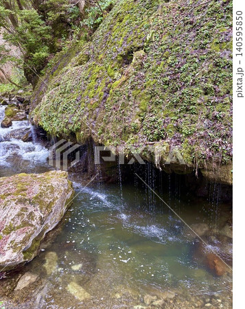 苔むした岩肌から美しく湧き出る伏流水と清らかな渓流 苔むした岩肌から美しく湧き出る伏流水と清らかな渓流 140595850
