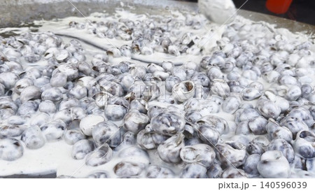 Male hand in glove stirs snails shells in creamy sauce with long spoon during cooking process in restaurant kitchen. The snails simmer gently on metal cooking surface coated in rich sauce. Slow motion Male hand in glove stirs snails shells in creamy sauce with long spoon during cooking process in restaurant kitchen. The snails simmer gently on metal cooking surface coated in rich sauce. Slow motion 140596039
