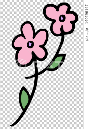 blossom, flower, women 140596147
