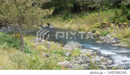 知床半島の野生動物 エゾヒグマ(岩尾別) 知床半島の野生動物 エゾヒグマ(岩尾別) 140596240