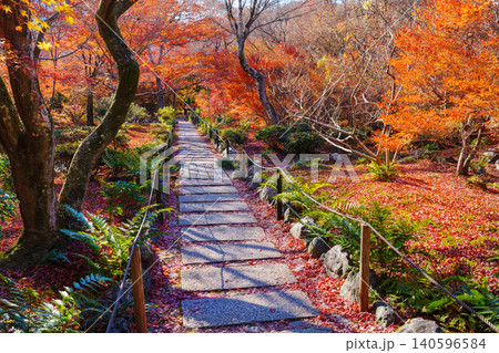京都 宝筐院の紅葉 京都 宝筐院の紅葉 140596584
