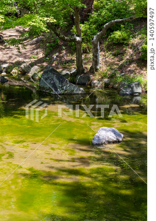 京都、円山公園の池 京都、円山公園の池 140597497