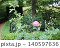 薔薇 140597636