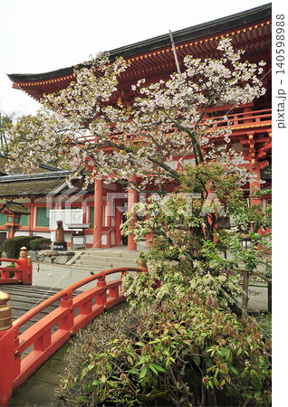 上賀茂神社　楼門と桜 140598988