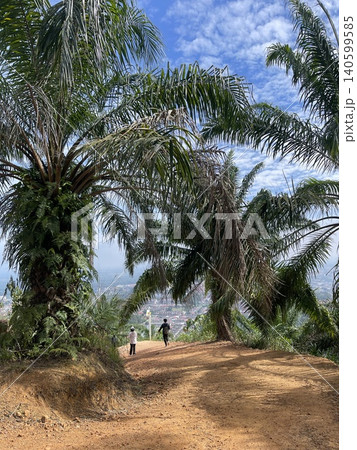 Tropical hillside path with oil palm trees overlooking Bahau town, Malaysia Tropical hillside path with oil palm trees overlooking Bahau town, Malaysia 140599585
