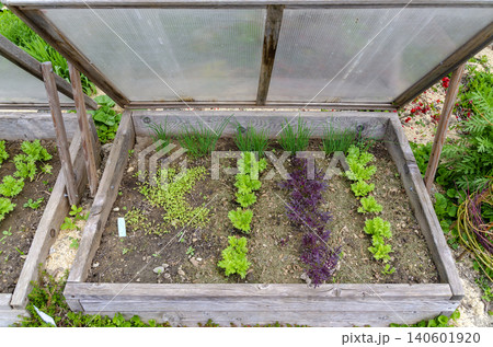 wooden coldframe wooden coldframe 140601920