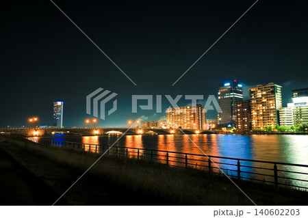 信濃川やすらぎ堤緑地左岸から見た萬代橋の夜景（新潟市） 140602203