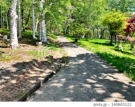 小樽公園 散策路 北海道小樽市 新緑 小樽公園 散策路 北海道小樽市 新緑 140603122