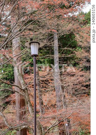 Vintage-style street lamp or Street lamp in the old style in the autumn garden. 140603156