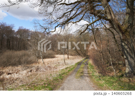 Winter, road or forest with countryside travel, holiday or vacation scenery in Denmark or nature. Background, path or street for journey, tourism or outdoor adventure with woods, trees or cold season Winter, road or forest with countryside travel, holiday or vacation scenery in Denmark or nature. Background, path or street for journey, tourism or outdoor adventure with woods, trees or cold season 140603268