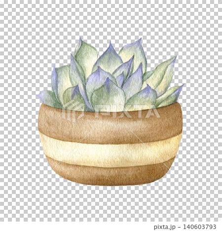 Watercolor succulent in a striped ceramic pot isolated illustration. Hand drawn botanical clipart of green houseplant for home decor, greeting cards, nursery wall art and modern interior design sets. Watercolor succulent in a striped ceramic pot isolated illustration. Hand drawn botanical clipart of green houseplant for home decor, greeting cards, nursery wall art and modern interior design sets. 140603793