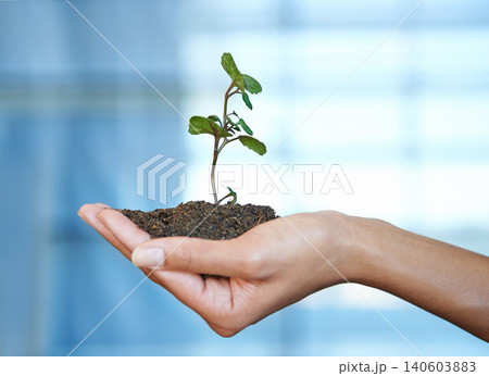 Person, hand and soil with plant for nature growth or future sustainability as earth day, climate change or non profit. Fingers, dirt and leaf for ecosystem gardening for agriculture, care or planet 140603883