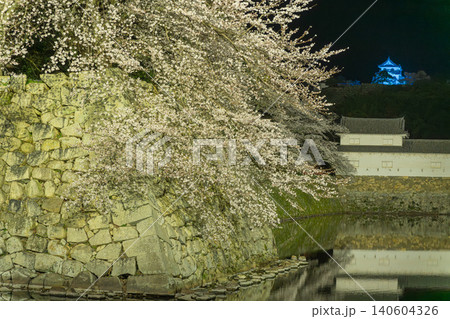 夜桜と彦根城 夜桜と彦根城 140604326