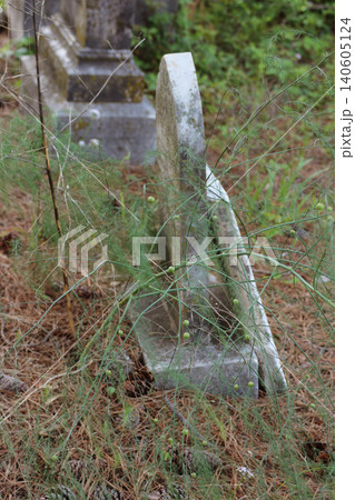 Cemetery in Rural East TX Troup City Cemetery Asparagus Growing on Grave Cemetery in Rural East TX Troup City Cemetery Asparagus Growing on Grave 140605124