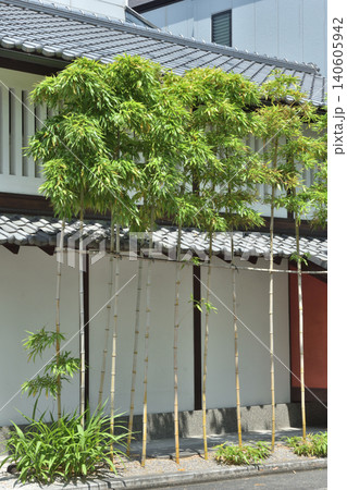 御霊神社前のお店の竹藪 御霊神社前のお店の竹藪 140605942