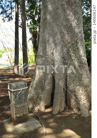 岩槻散歩:関白神社 境内の道祖神 岩槻散歩:関白神社 境内の道祖神 140606147