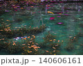 モネの池 140606161