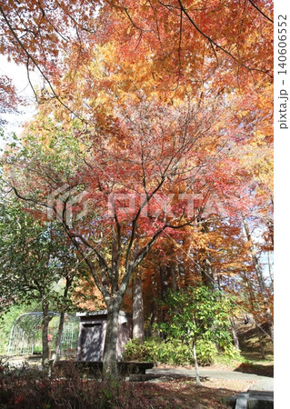 多可町余暇村公園の紅葉風景(兵庫県) 多可町余暇村公園の紅葉風景(兵庫県) 140606552