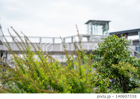 【小田原駅前】ペデストリアンデッキを背景に茂る鮮やかな新緑と都市緑化の風景 【小田原駅前】ペデストリアンデッキを背景に茂る鮮やかな新緑と都市緑化の風景 140607338