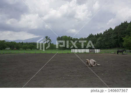岩手県　小岩井農場で見る風景 140607367