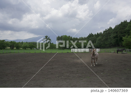 岩手県 小岩井農場で見る風景 岩手県 小岩井農場で見る風景 140607369
