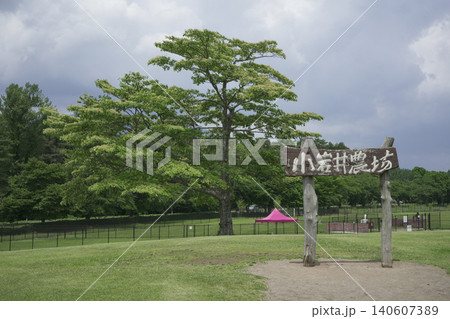 岩手県 小岩井農場で見る風景 岩手県 小岩井農場で見る風景 140607389